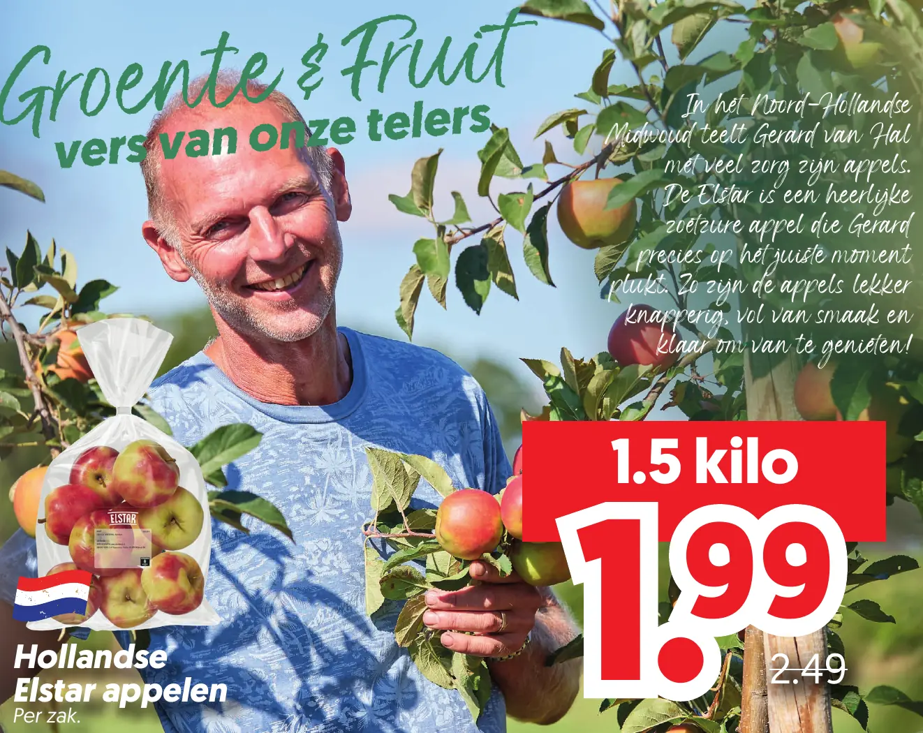 Hollandse Elstar Appelen