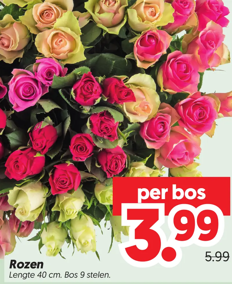 Rozen — voor €3.99