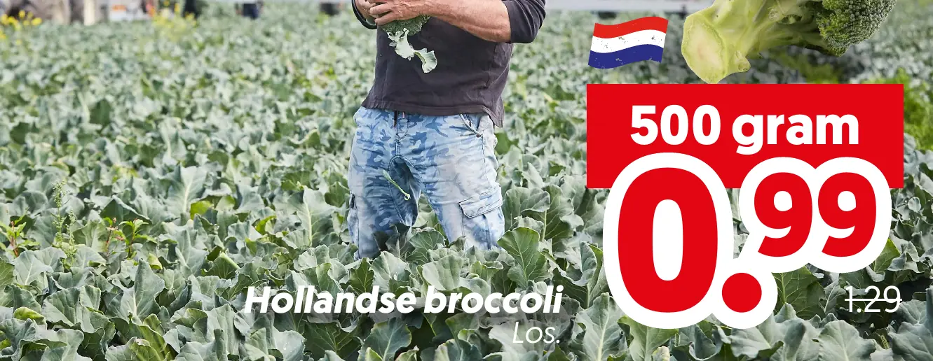 Hollandse broccoli