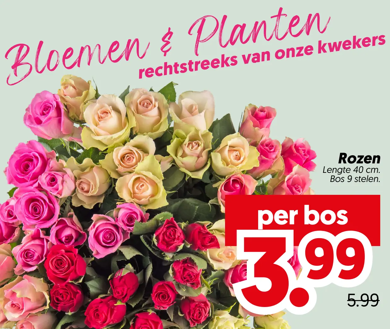 Rozen