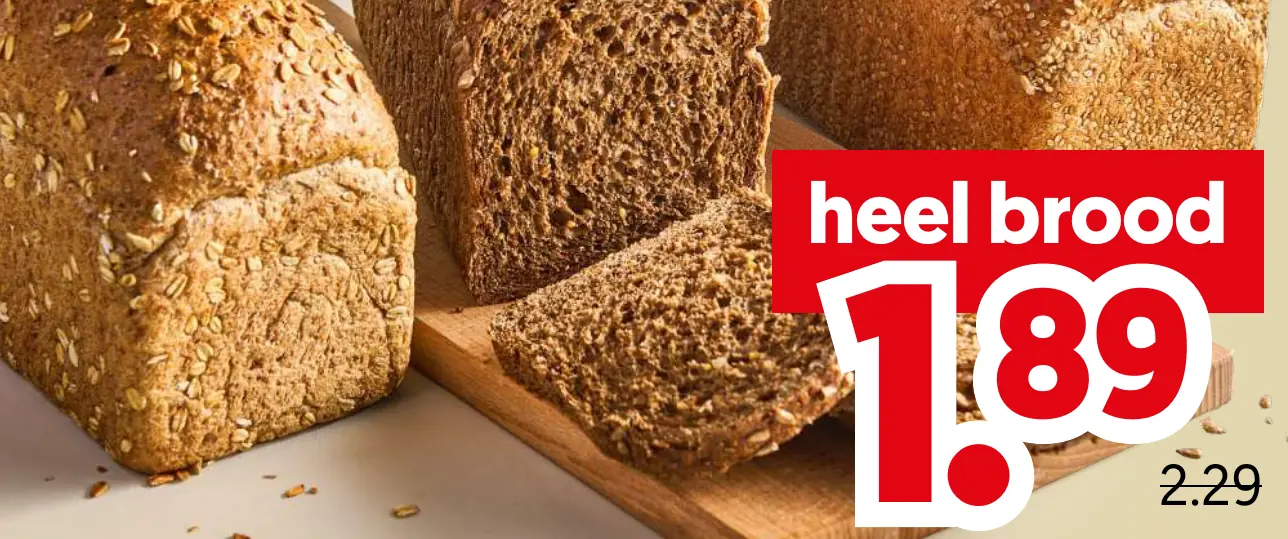 Hollander of tarpan brood