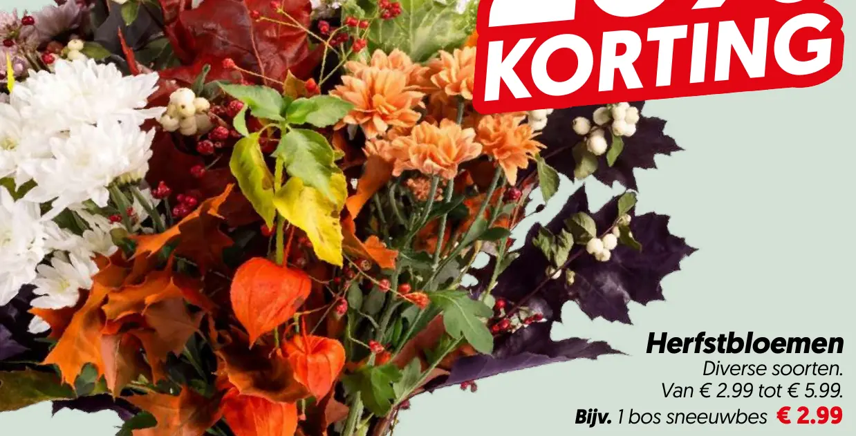 Herfstbloemen