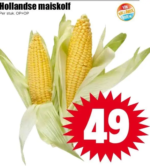 Hollandse maiskolf