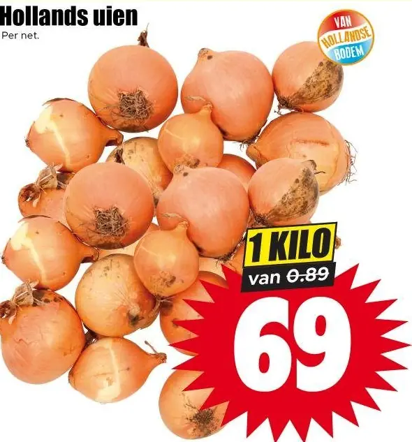 Hollands uien