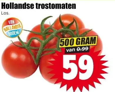 Hollandse trostomaten los