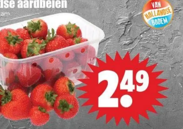 hollandse aardbeien