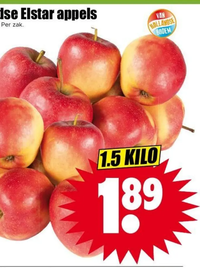 hollandse elstar appels