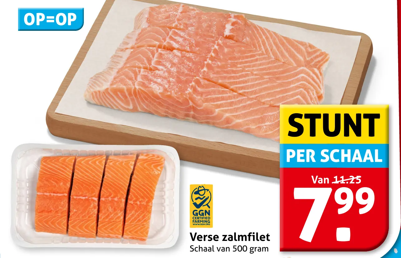 Verse zalmfilet