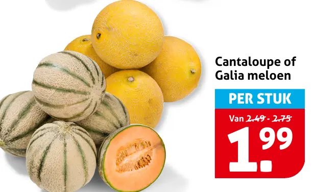 Cantaloupe of Galia meloen