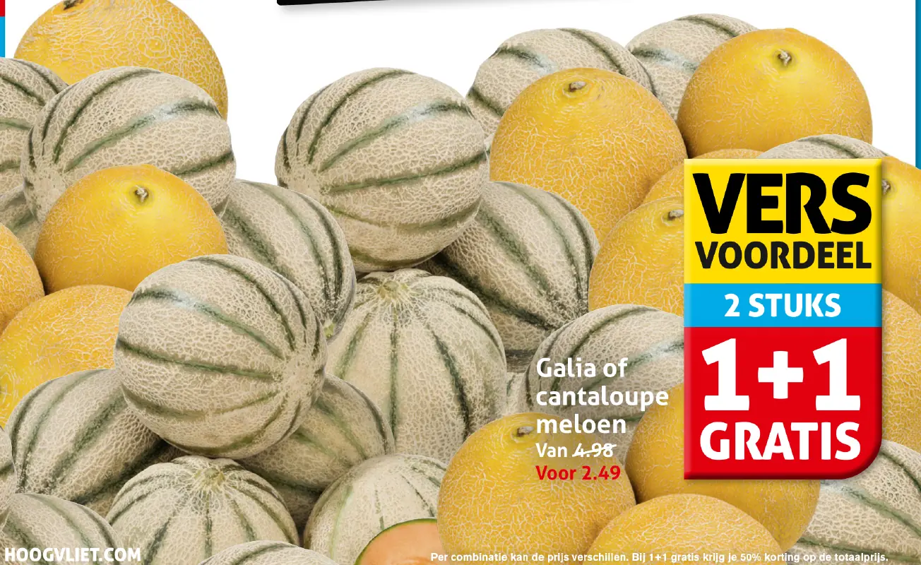 Galia of cantaloupe meloen