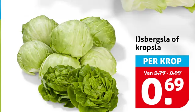 IJsbergsla of kropsla