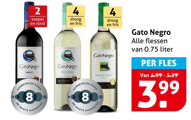 Gato Negro