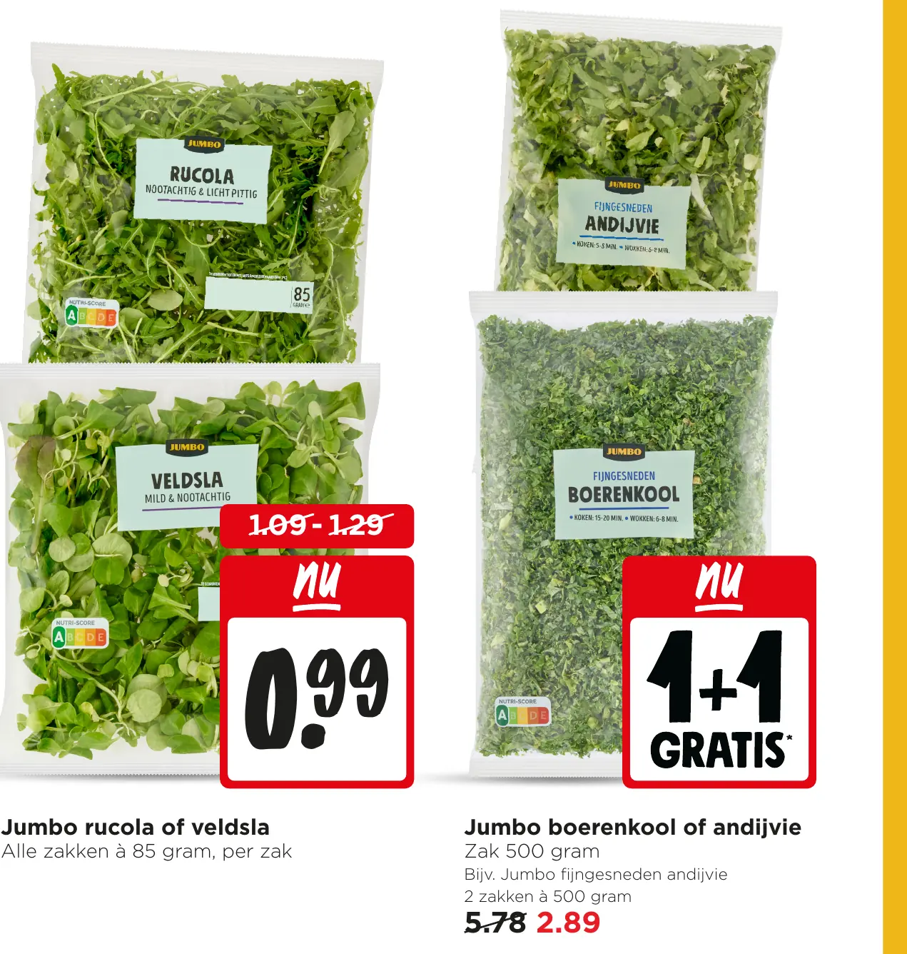 Jumbo rucola of veldsla