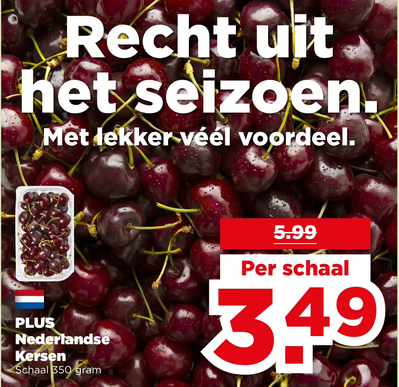 PLUS Nederlandse Kersen