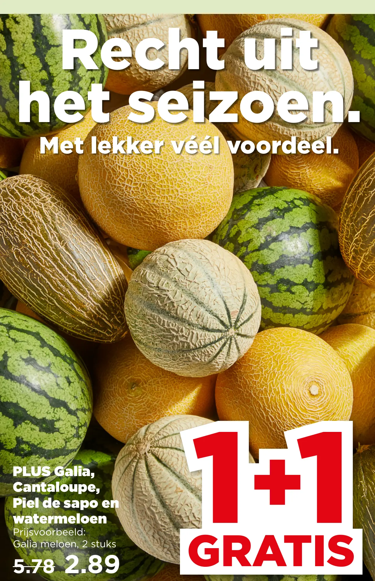 PLUS Galia Cantaloupe Piel de sapo en watermeloen