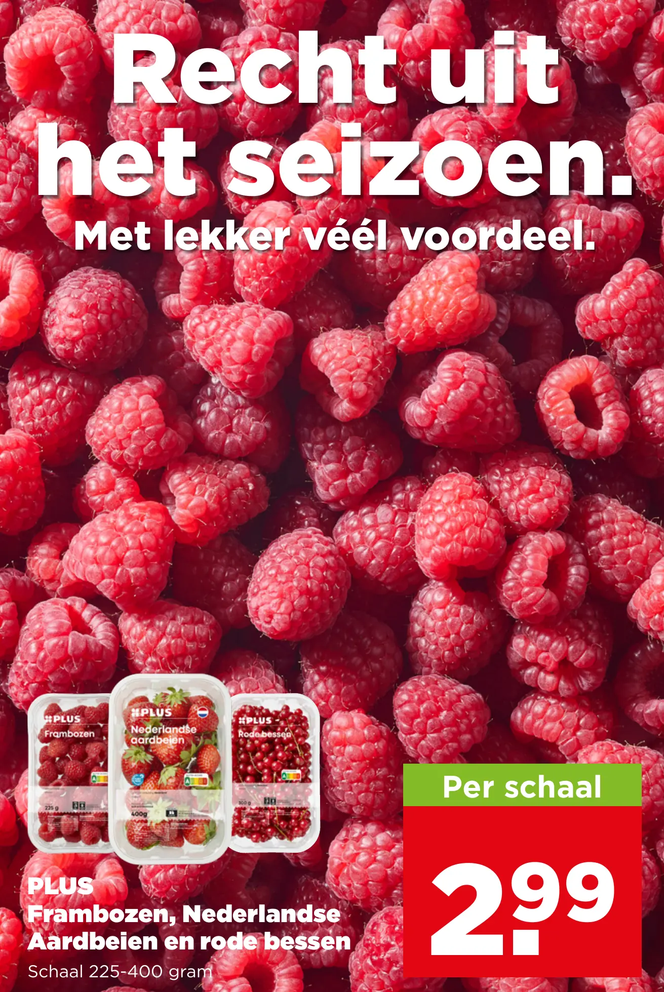 PLUS Nederlandse Frambozen Nederlandse Aardbeien en rode bessen