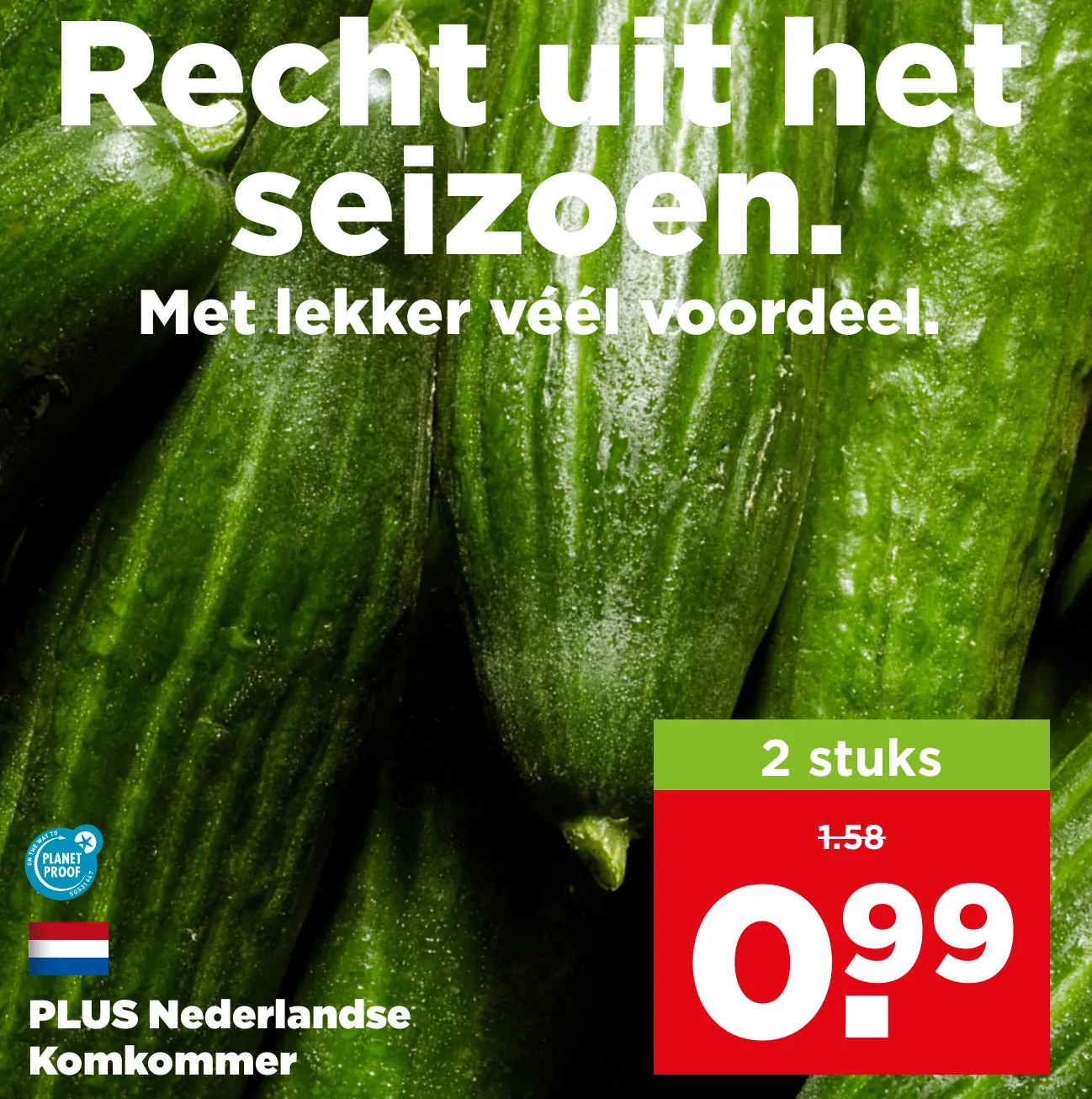 PLUS Nederlandse Komkommer