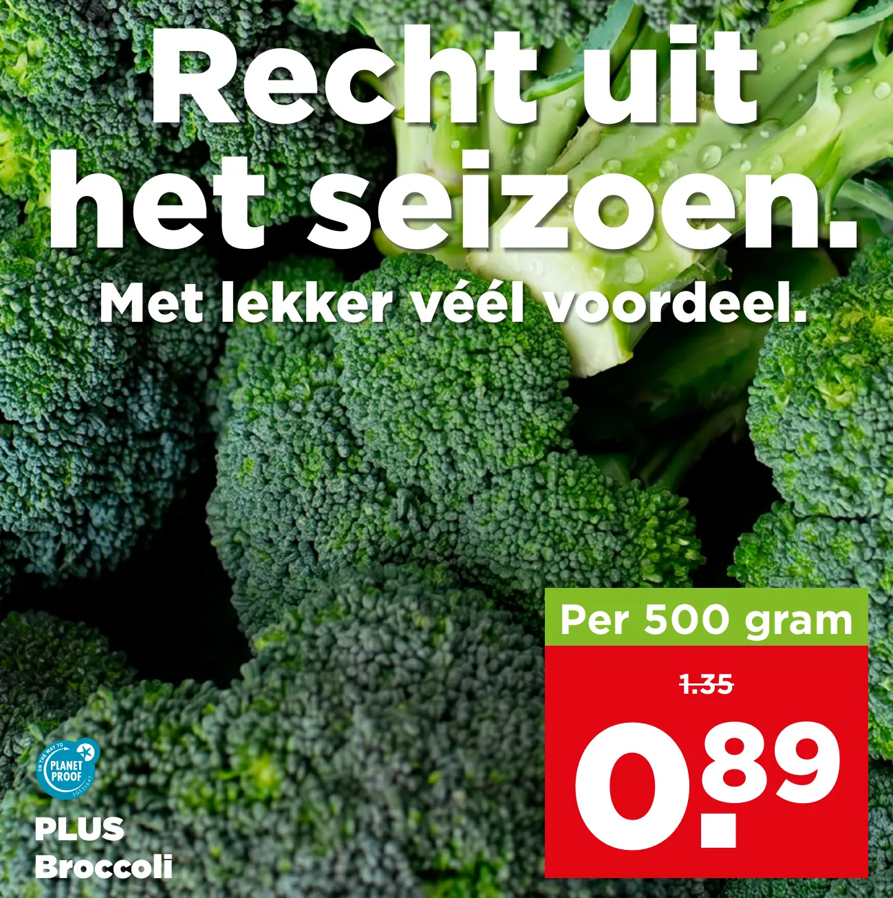 PLUS Broccoli