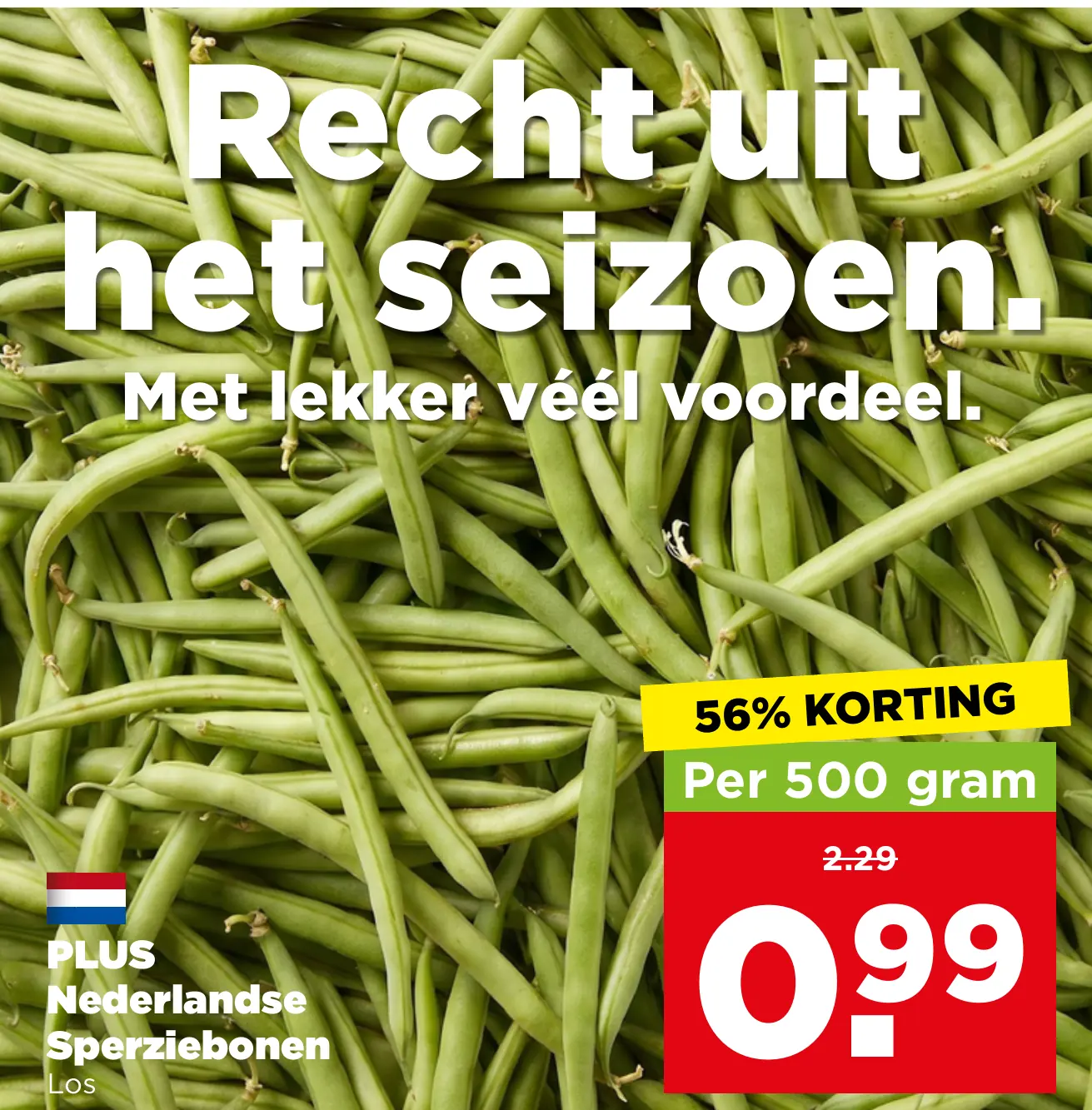 PLUS Nederlandse Sperziebonen