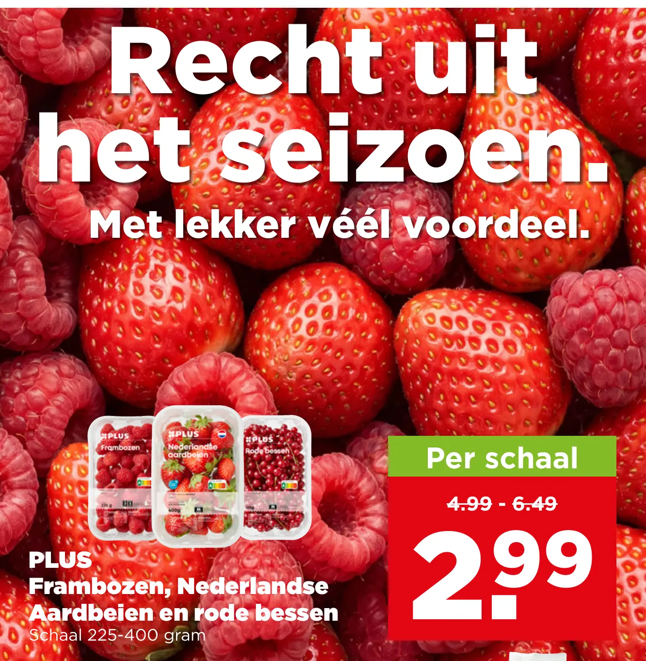 PLUS Frambozen Nederlandse Aardbeien en rode bessen