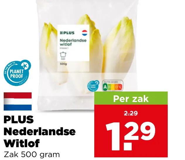 PLUS Nederlandse Witlof — voor €0.99