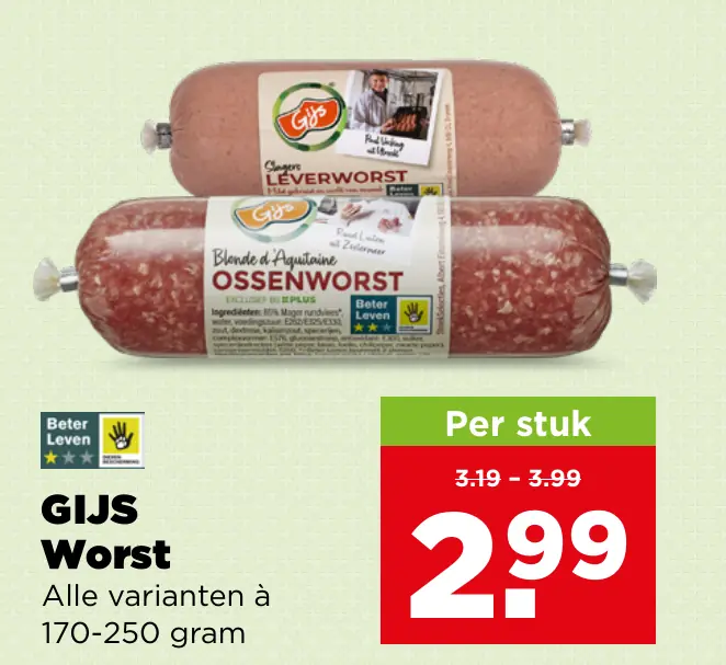 Gijs Worst