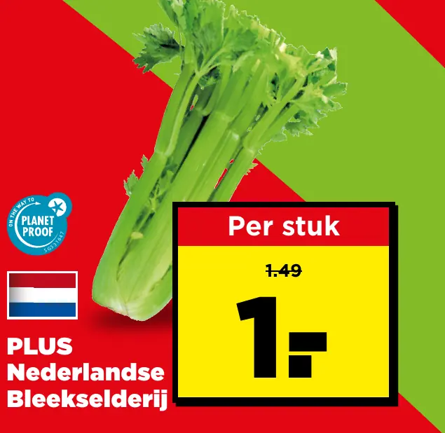 PLUS Nederlandse Bleekselderij