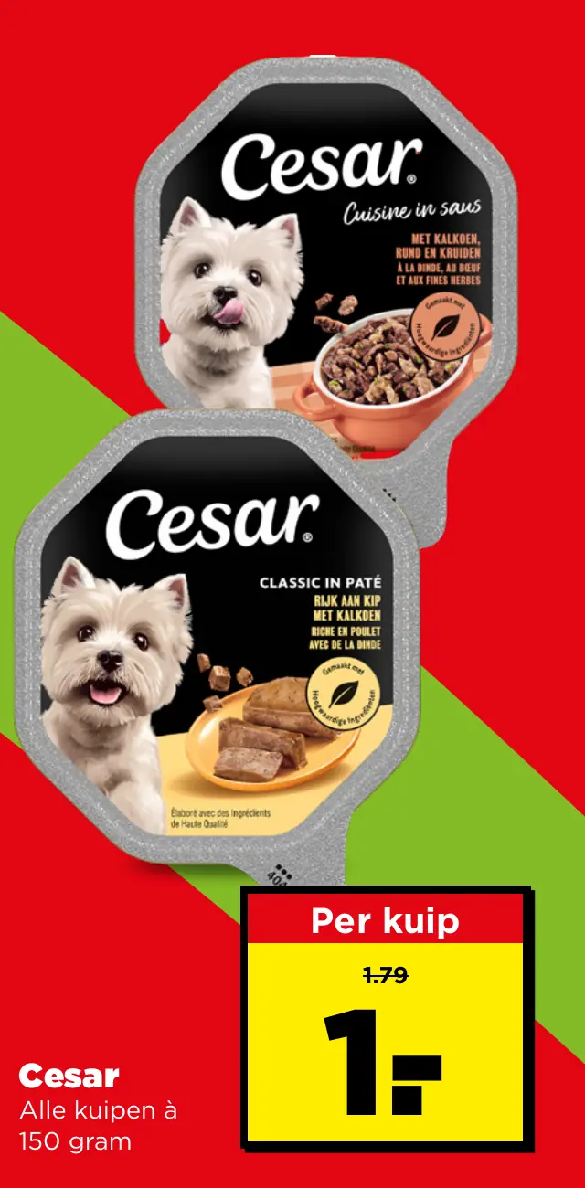 Cesar