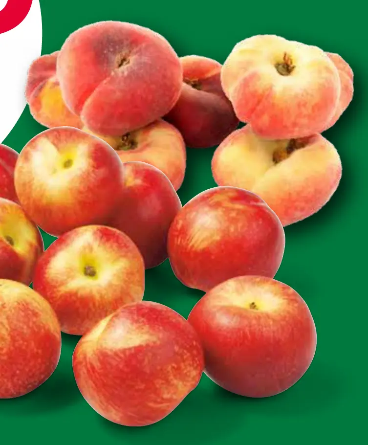 nectarines of wilde perziken