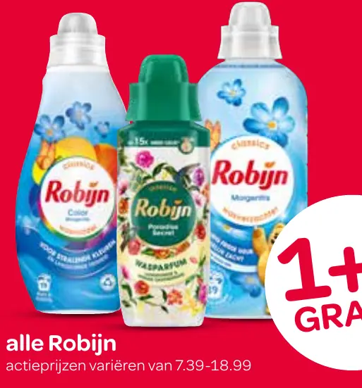 Robijn robijn