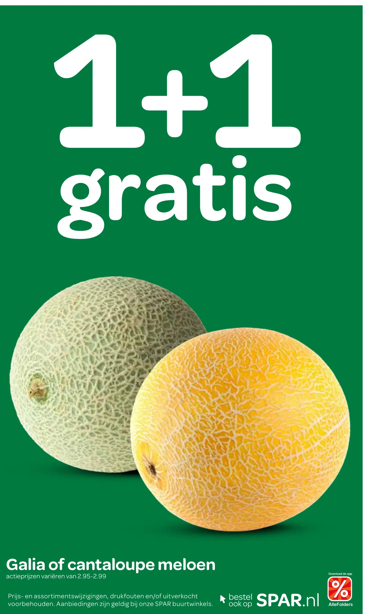 galia of cantaloupe meloen