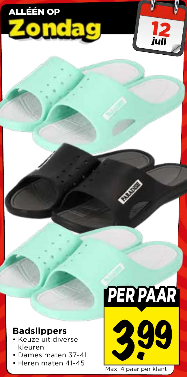 badslippers