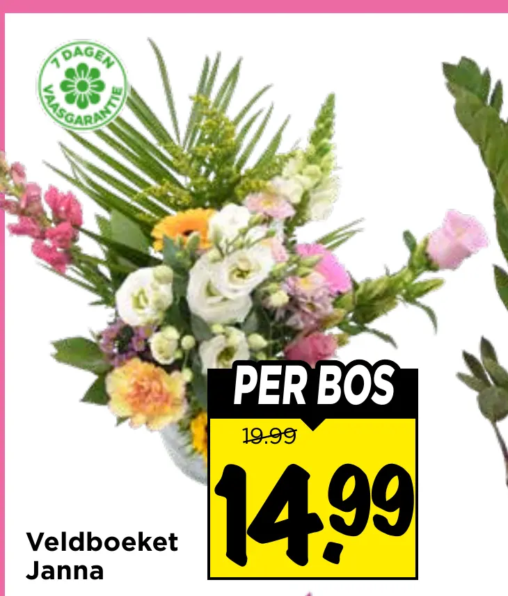 veldboeket janna