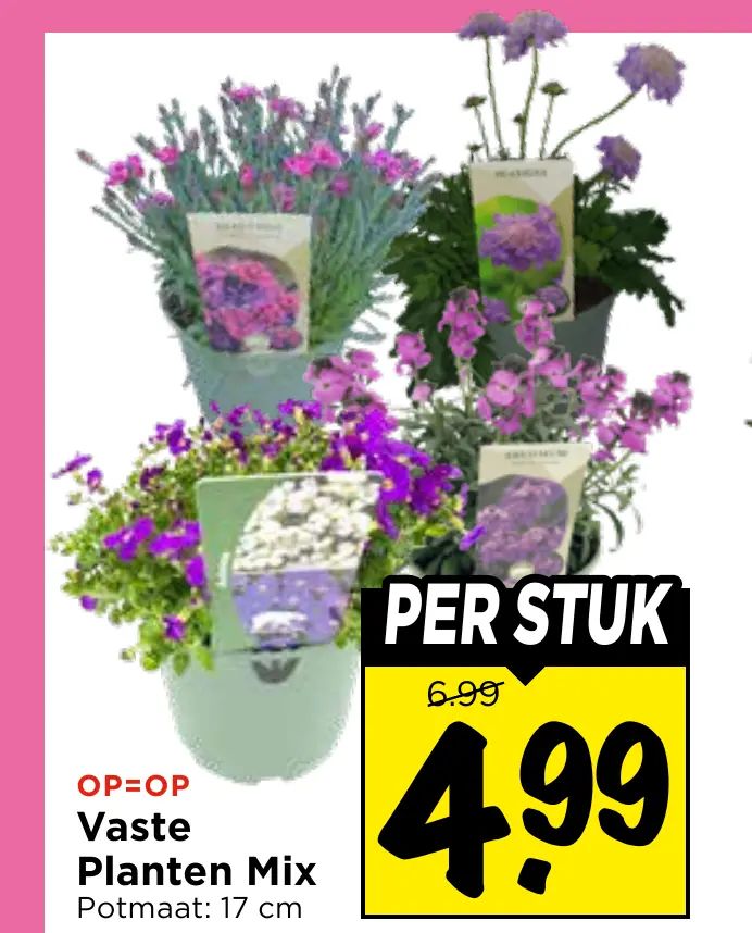 vaste planten mix