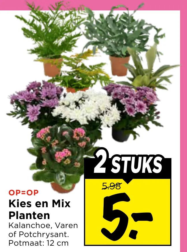 kies en mix planten