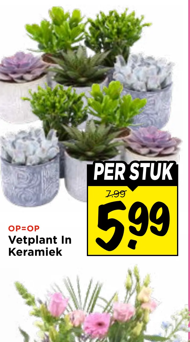 vetplant in keramiek