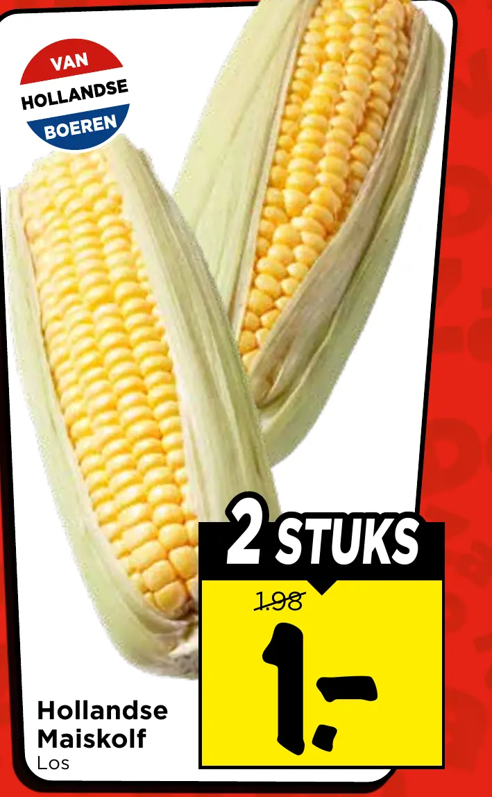 hollandse maiskolf