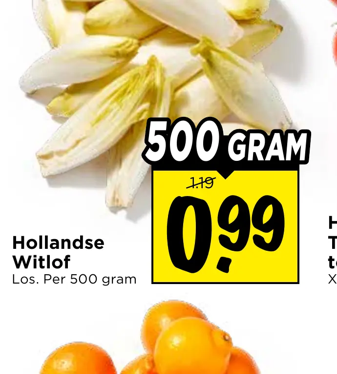 hollandse witlof