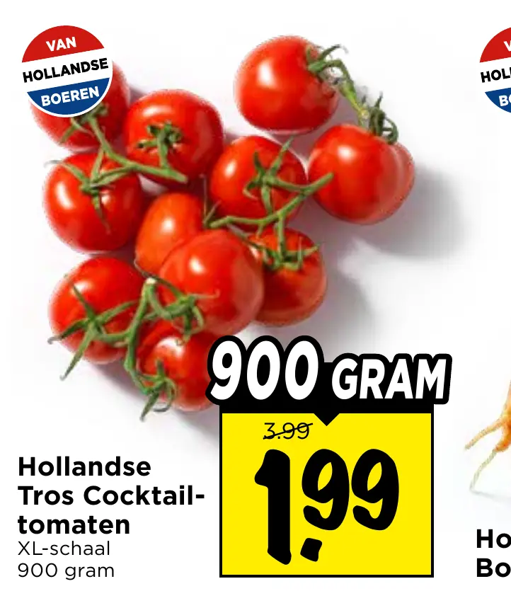 tros cocktailtomaten