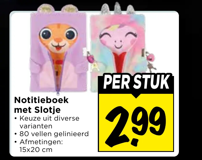 notitieboek met slotje