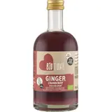 Bio Today Premium gember-cranberry drankje
