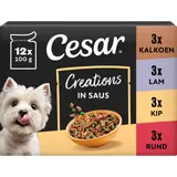 Cesar Creations in saus