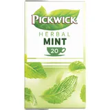 Pickwick Mint kruidenthee