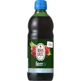 Roosvicee Fruitkracht ferro siroop