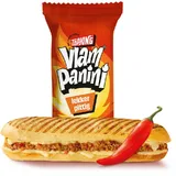 Vlam panini
