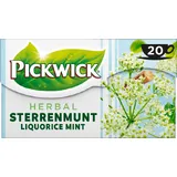 Pickwick Sterrenmunt kruidenthee