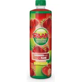 Raak Vruchtensiroop aardbeien