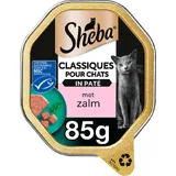 Sheba in Paté met Zalm