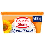 Gouda's Glorie Zonnepond