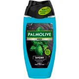 Palmolive Men Sport 3-in-1 douchegel met etherische oliën van munt en cedernaalden 250ml